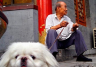 老年人养宠物的好处(有哪些)