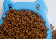 德尔菲特狗粮怎么样（好吃吗）