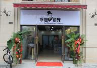 宠物店打工怎么样(都干啥)