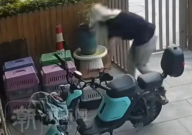 杭州两男子遗弃28只猫在宠物医院(已报警)