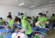 宠物美容学校哪家好(排行榜前十名)