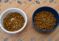 睿德宝瑞猫粮怎么样(好不好)