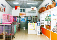 宠物店的猫都是从哪里来的(来源)