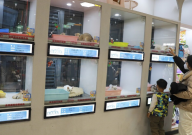 宠物医院和宠物店的区别(是什么)