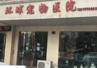 宠物医院接生猫多少钱(收费价格)