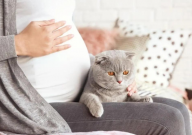 宠物猫对孕妇有影响吗（能养吗）