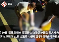 福建一动物园蟒蛇出逃近20天被找到(一公里外)