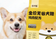 馋不腻狗粮怎么样(到底好不好呢)