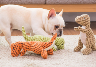 宠物用品跨境电商前景怎么样(原因)